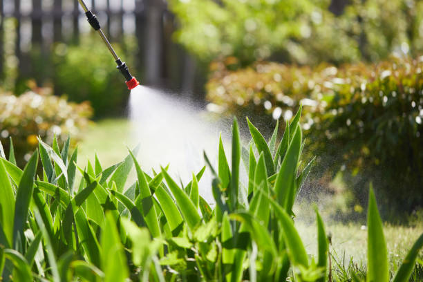 24/7 Emergency Mosquito Control experts in Gold Bar, WA